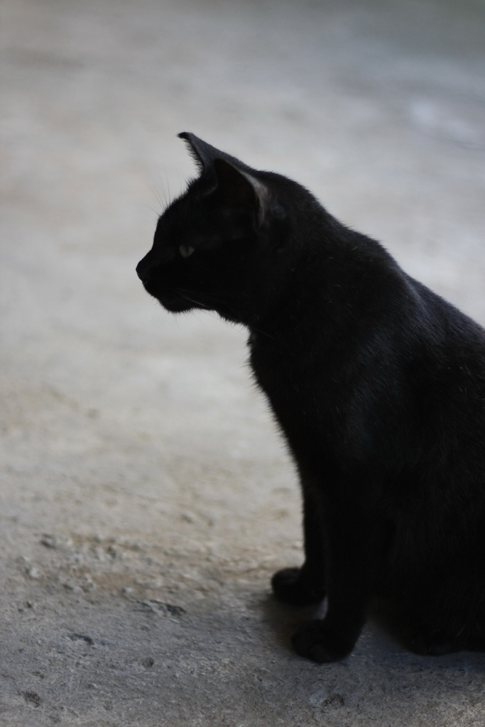 猴硐