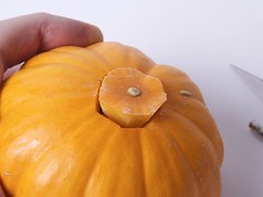 TinyPumpkinArmy - 04