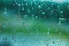 195/365 - Rainy Day