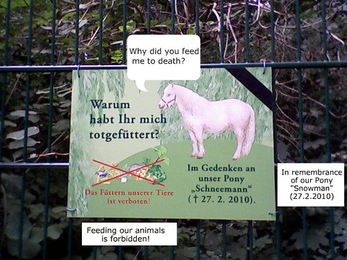 Why did you feed me to death? Feeding our animals is forbidden! In remembrance of our Pony 