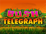 Online Bush Telegraph Slots Review