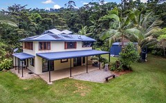 49 Carbeen Road, Daintree QLD