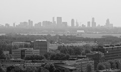 The skyline of Rotterdam