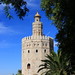 Torre del Oro • <a style="font-size:0.8em;" href="http://www.flickr.com/photos/53131727@N04/4905591766/" target="_blank">View on Flickr</a>