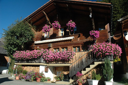 Swiss scenery & houses 005