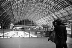 149/365 - Inside St Pancras