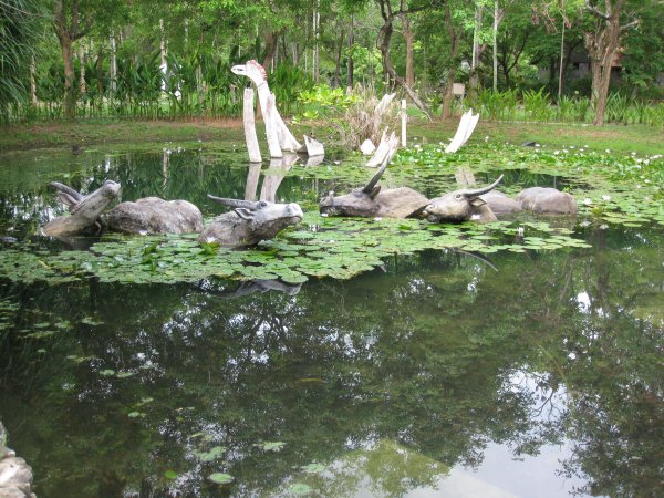 مجسمات الجواميس في حديقة لنكاوي ماليزيا 4867707885_e57779a379_o