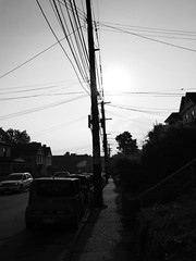 IMG_0384