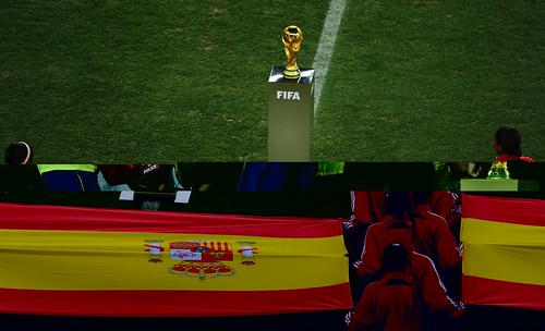 the world cup 2010