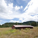 New Life in North Idaho: Side Pasture