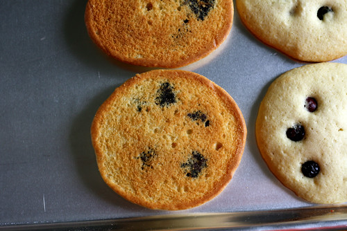 Blueberry Black and White Cookies