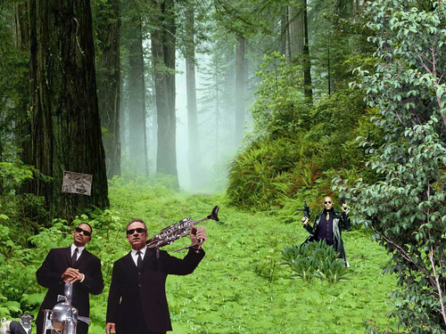 Forest Moon of Endor with Morpheus, J, K & Frank