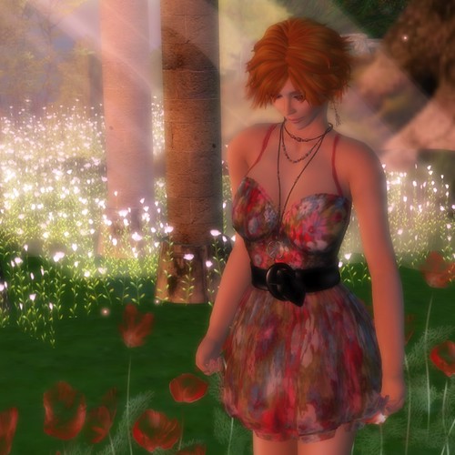 aug01b_007.jpg