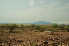 1a. Entering the desert region, typical scene after rains