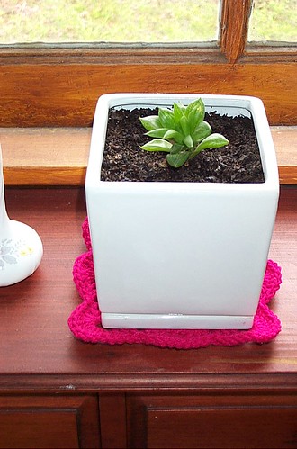 Plant Coaster