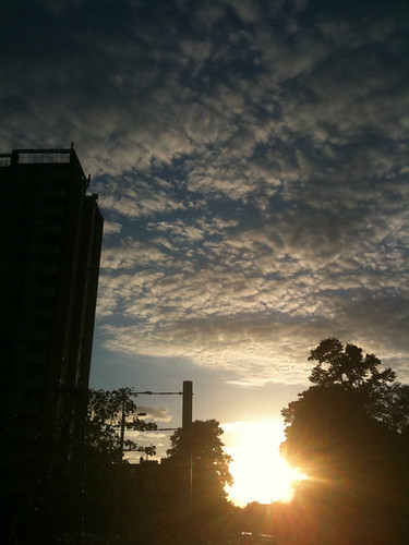PAD: 9th September 2010