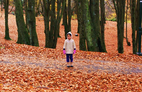 the queen standing in autumn leaves:p