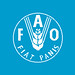 FAO2 Flag