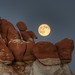 Blue Canyon Moon