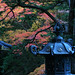 Nikko • <a style="font-size:0.8em;" href="https://www.flickr.com/photos/40181681@N02/4839114059/" target="_blank">View on Flickr</a>