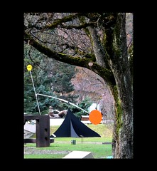 Wondergarden