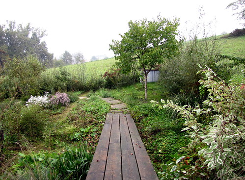 autunno, 3.10.2010, 16