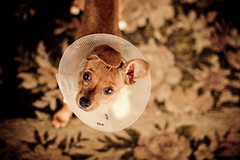 I got my party hat on!