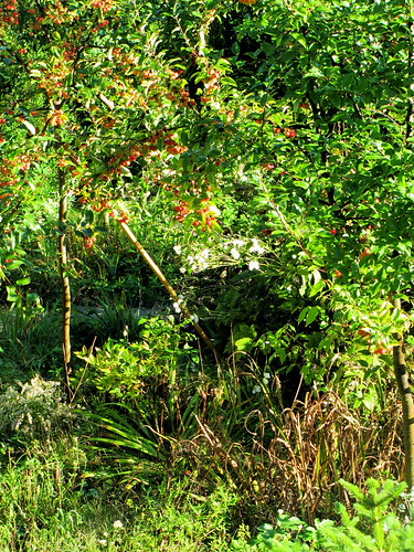 autunno, 26.09.2010. 2