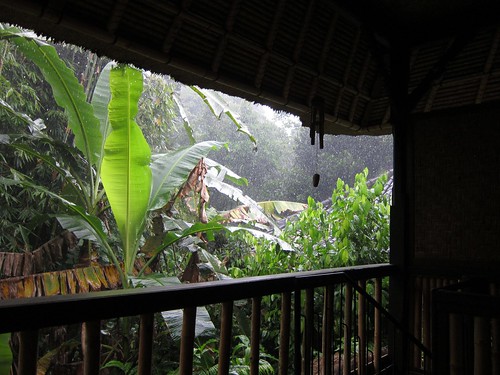 Rain in Ubud