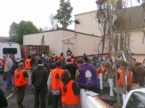 58 people learned and applied new tree planting and crew leading skills on Saturday, 11/20/10 in SE Portland