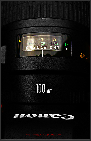 Canon EF 100mm F2.8 Macro + 5D II