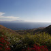 Wide Angle View of Palos Verdes and Pacific Ocean