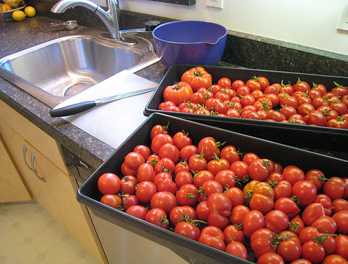 Canning 2010 - Tomatoes