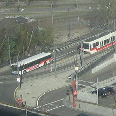 MAX train blocked by TriMet bus