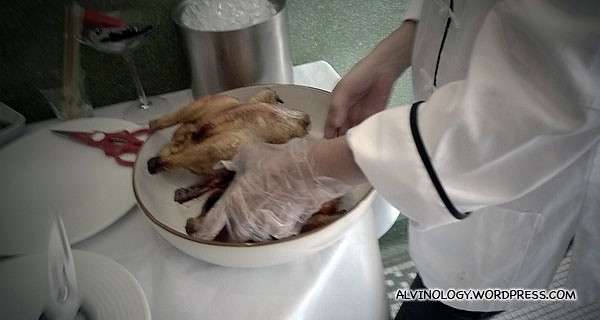 Cutting and tearing up the chicken