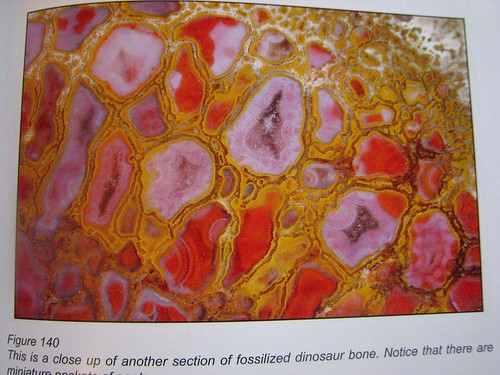 Agates Inside Out Photo 2