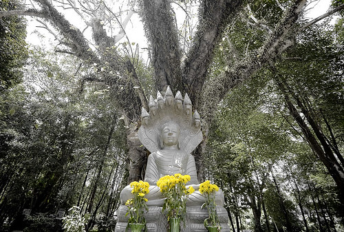 Buddha at Tha Reua temple