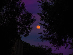 Bad Moon Rising • <a style="font-size:0.8em;" href="http://www.flickr.com/photos/29084014@N02/5161225819/" target="_blank">View on Flickr</a>