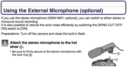 Using the Panasonic DMW-MS1 external stereo microphone, as documented on page 208 of the Panasonic FZ100 Manual