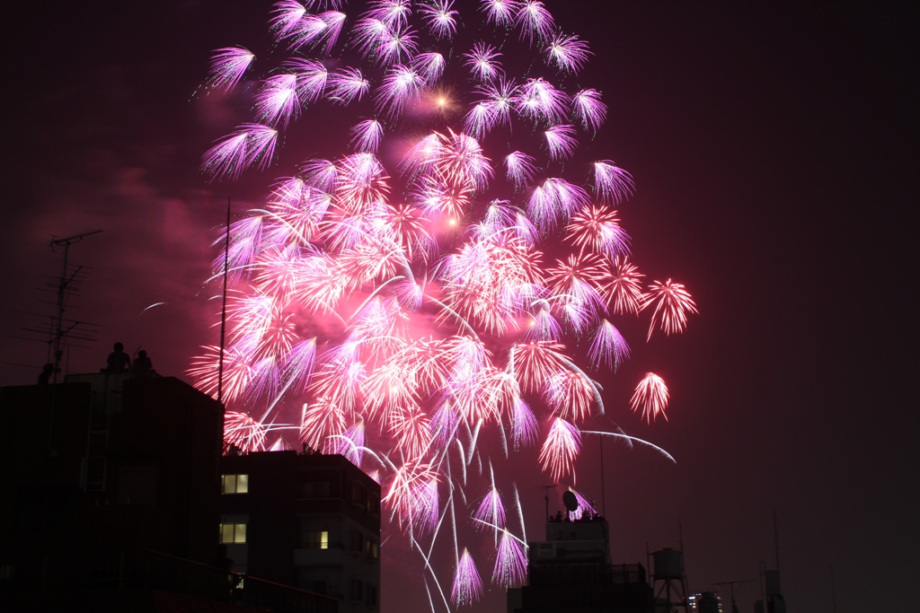 A Japan photo No.261:Sumidagawa Fireworks Festival