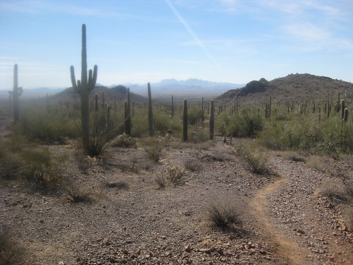 Picacho Peak Arizona-2