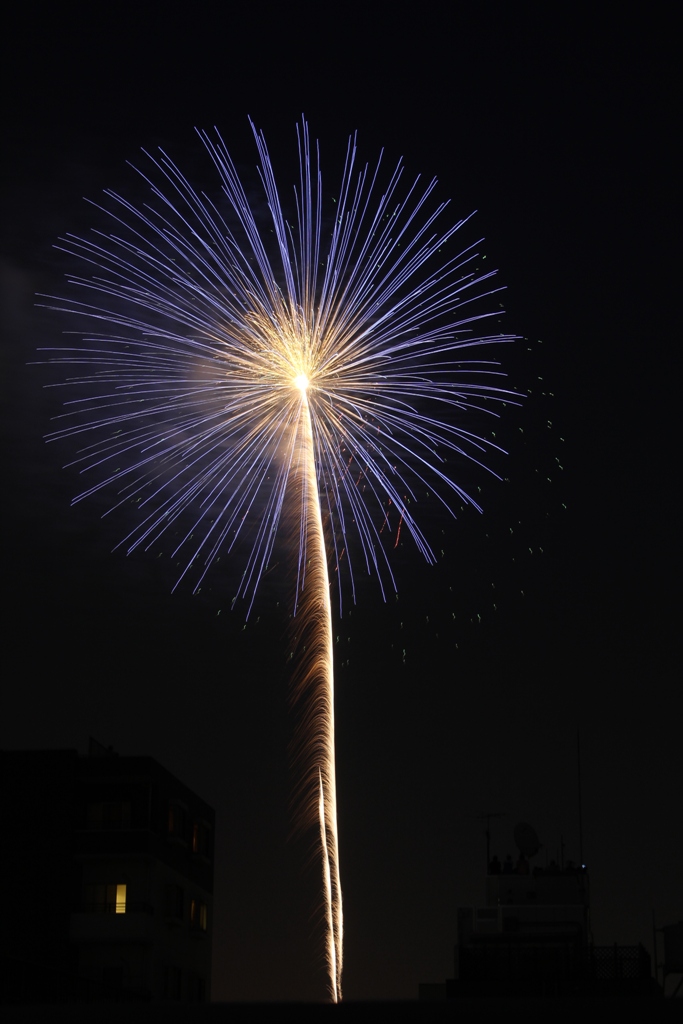 A Japan photo No.259:Sumidagawa Fireworks Festival