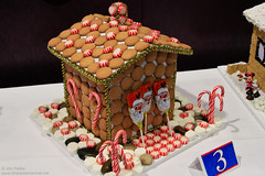 WDW Dec 2009 - Castmember Gingerbread House Competition