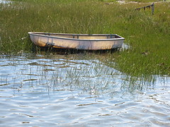 Day 163/365 Row boat in the sun