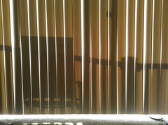 2010: 207/365, Deck