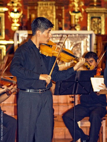 Violinista Concepción