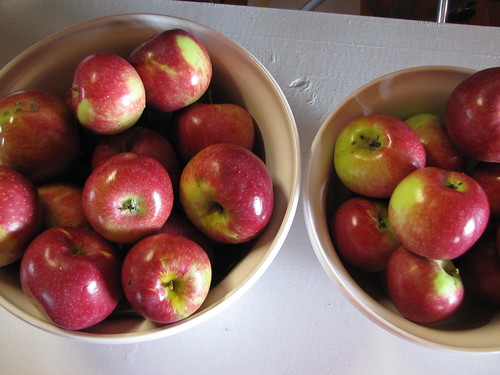 Paula Red apples