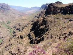 Gran Canaria - Degollada de las Yeguas in the Spring