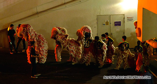 Lion dancers on standby