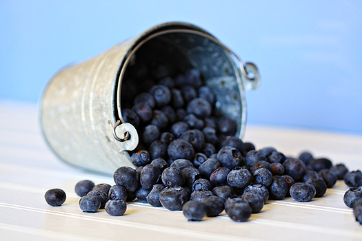 A tipped over bucket of fresh blueberries. 